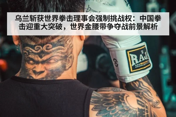 Chinese boxer