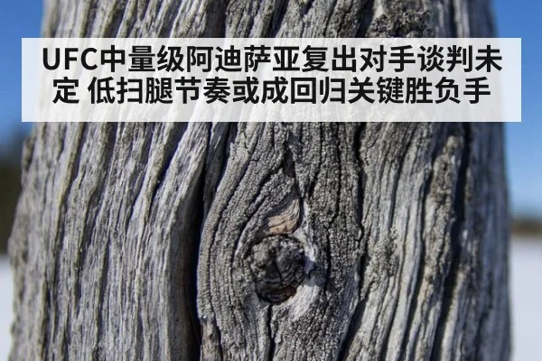 UFC中量级阿迪萨亚复出对手谈判未定 低扫腿节奏或成回归关键胜负手